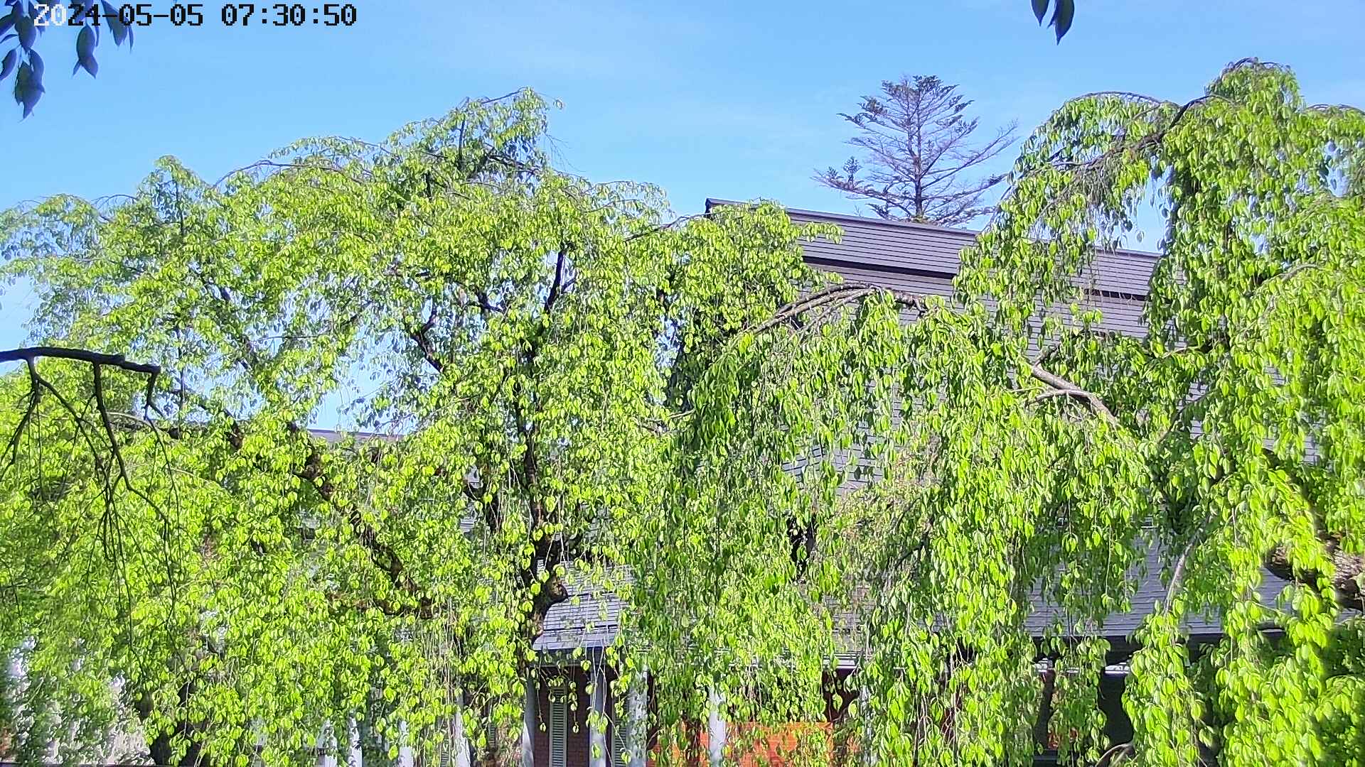 area2-20240505073053.jpg