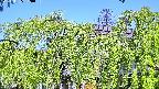 area2-20240505080052.jpg