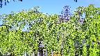 area2-20240505082052.jpg