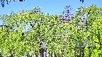 area2-20240505090052.jpg