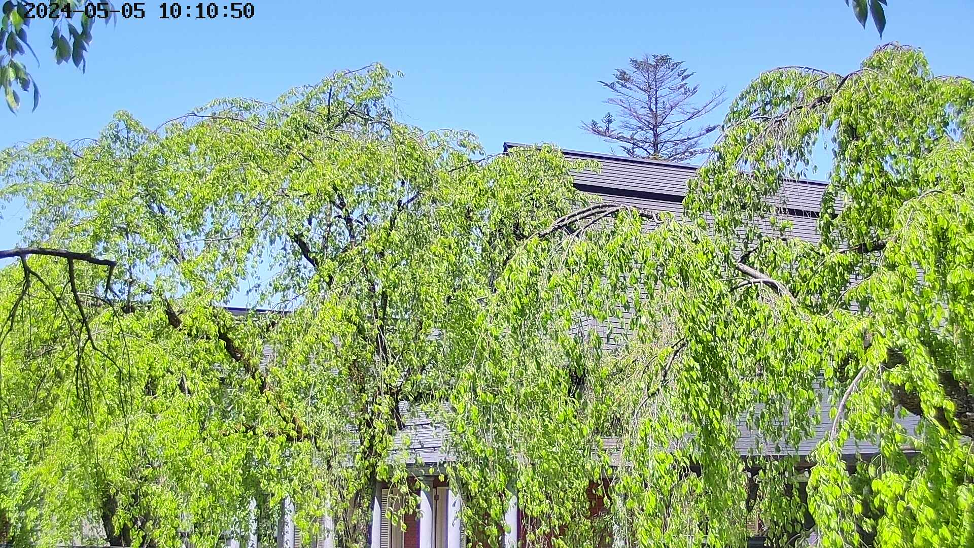 area2-20240505101053.jpg