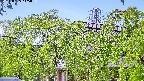 area2-20240505115052.jpg