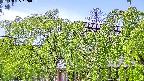 area2-20240505120053.jpg