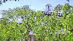 area2-20240505131052.jpg