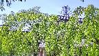 area2-20240505132052.jpg