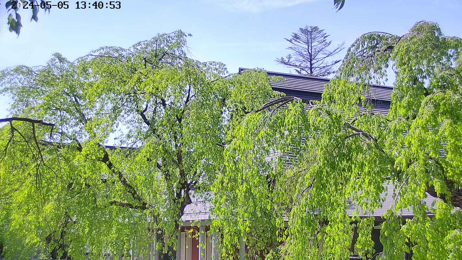 area2-20240505134054.jpg