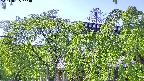 area2-20240505143053.jpg