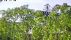 area2-20240505152052.jpg