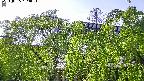 area2-20240505154052.jpg