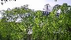 area2-20240505161053.jpg