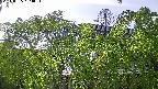 area2-20240505163053.jpg