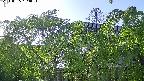 area2-20240505164053.jpg