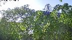 area2-20240505165052.jpg
