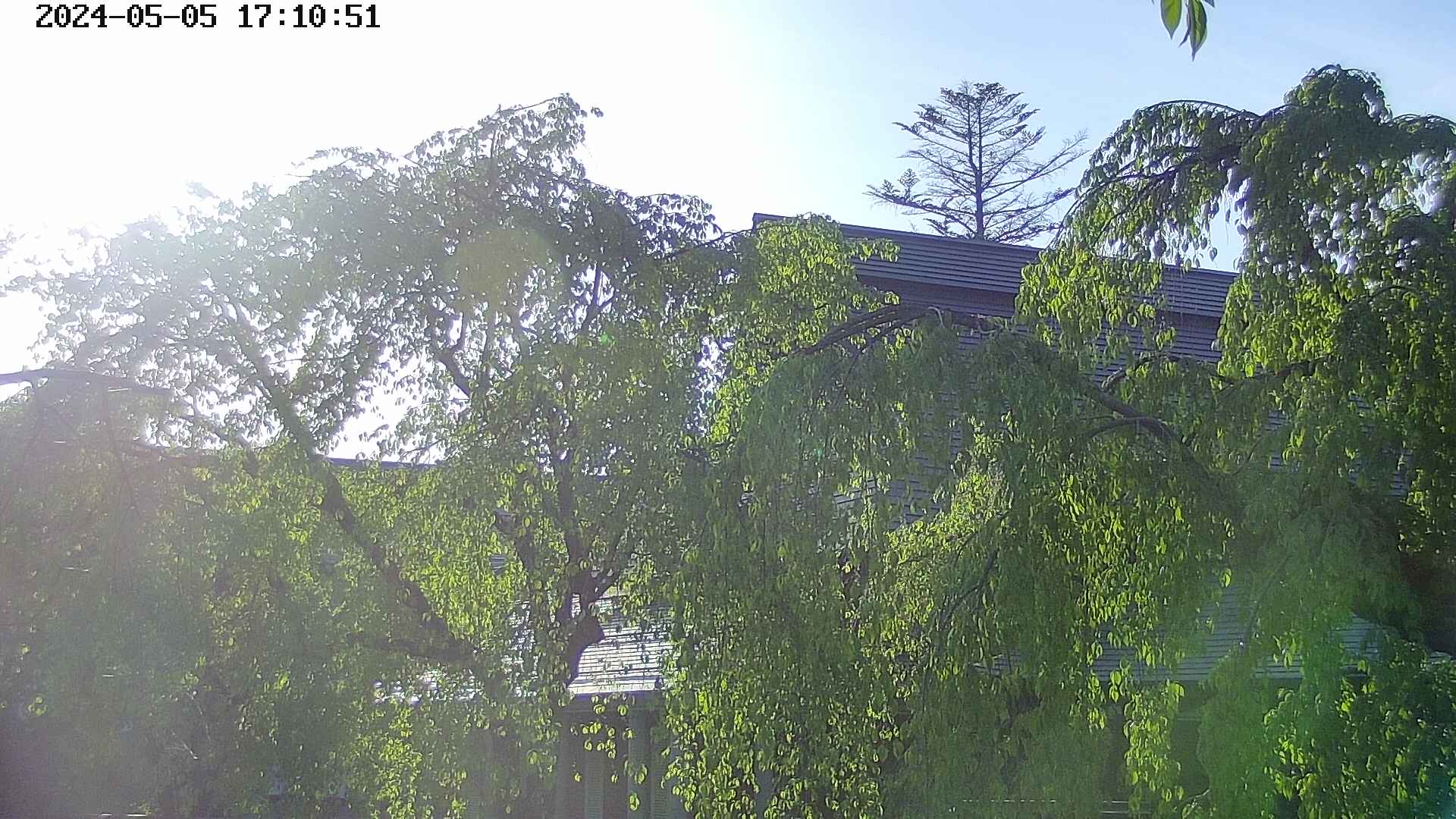 area2-20240505171053.jpg