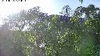 area2-20240505171053.jpg