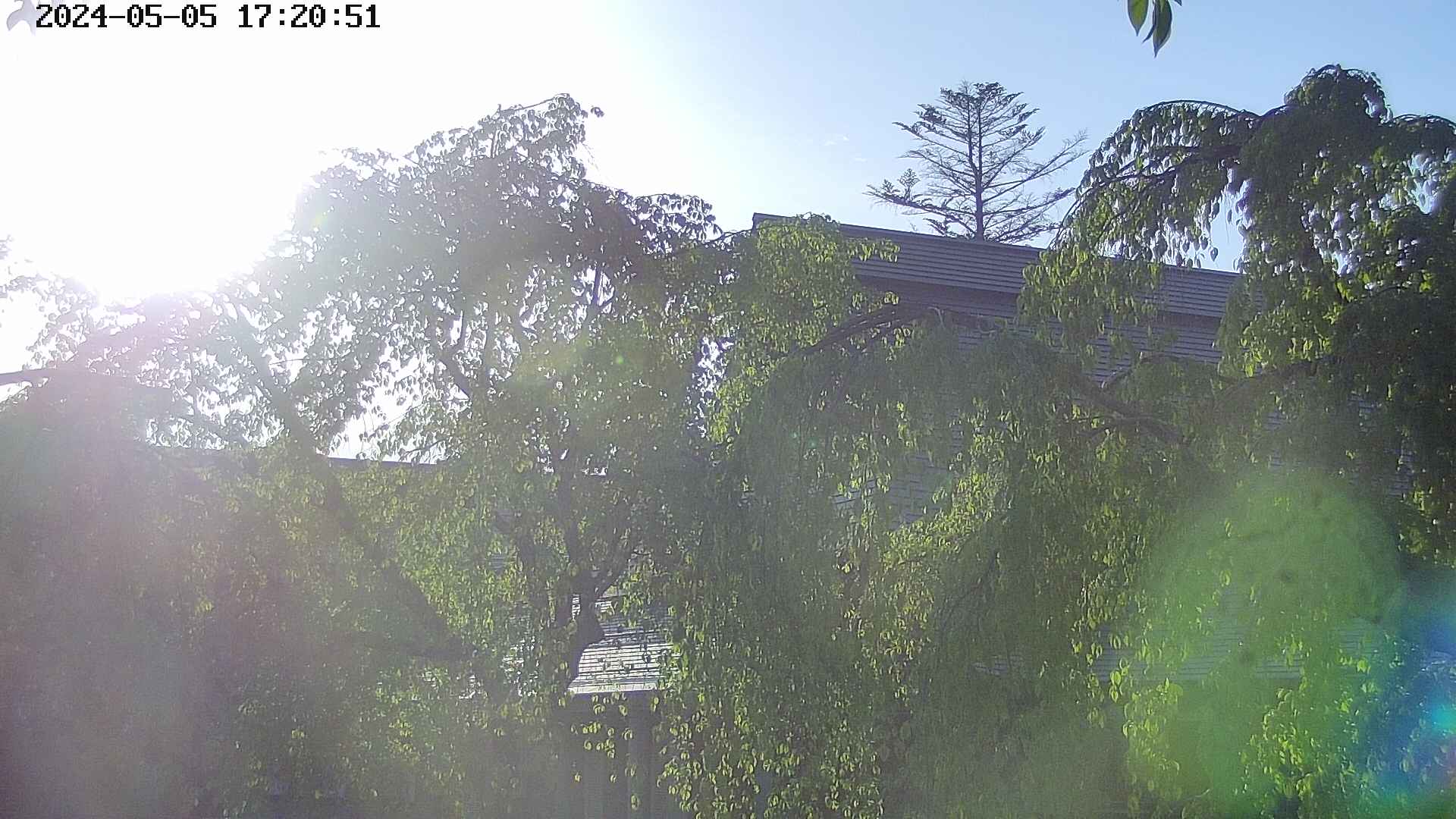area2-20240505172052.jpg