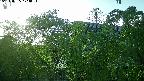 area2-20240505173053.jpg