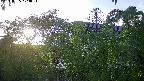 area2-20240505174053.jpg