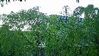 area2-20240505183053.jpg