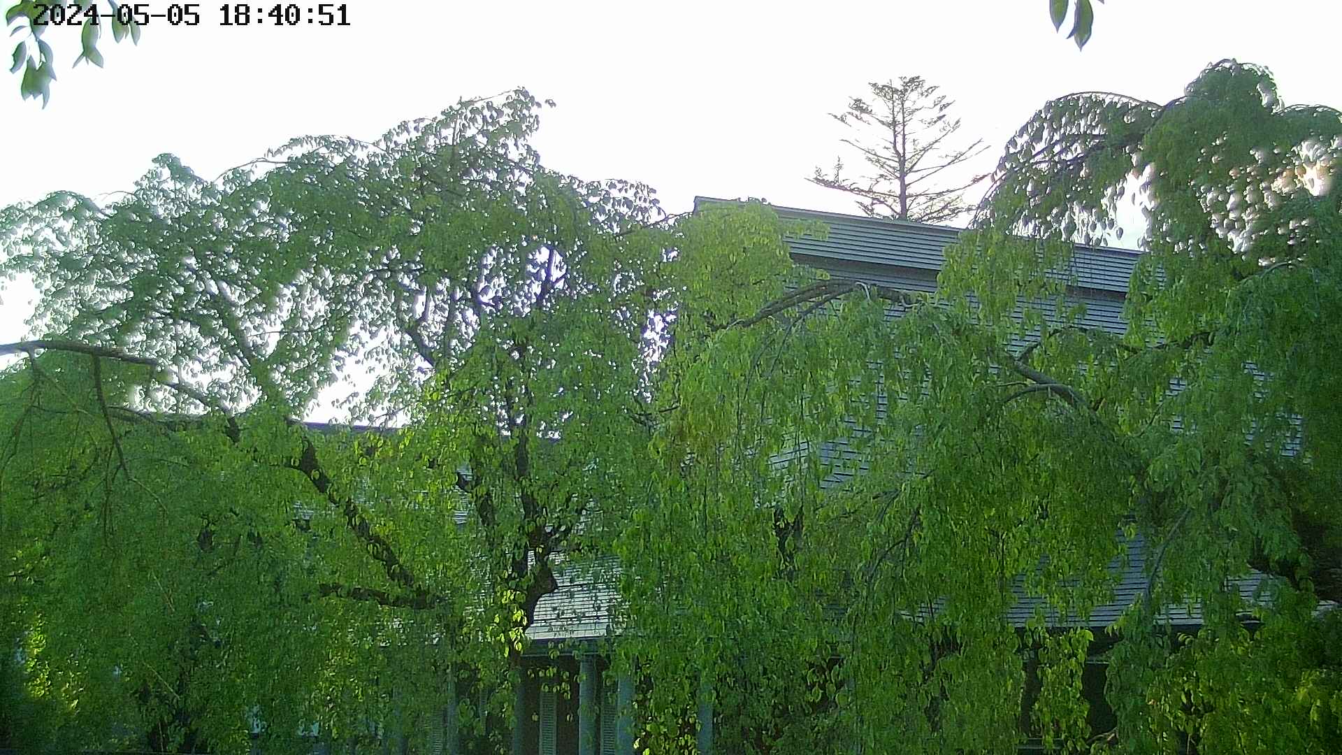 area2-20240505184053.jpg