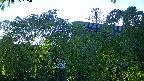 area2-20240505185052.jpg