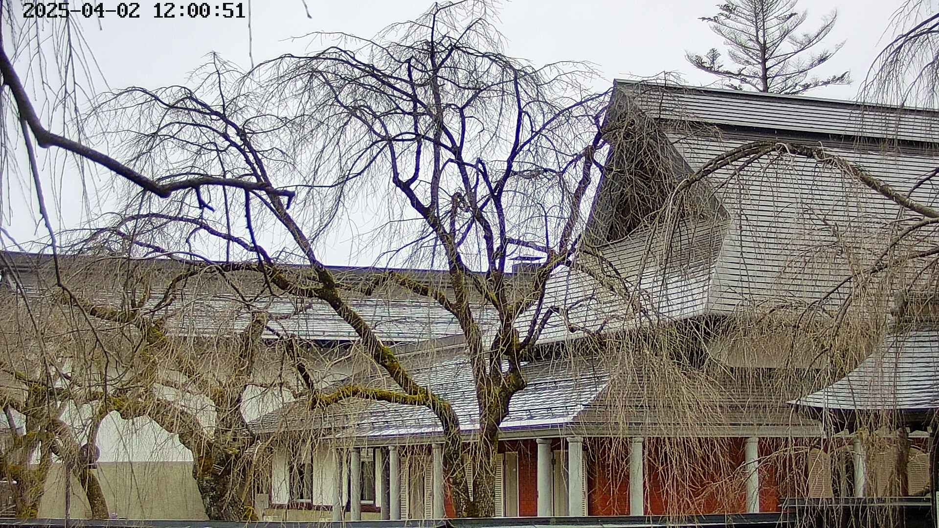 area2-20250402120052.jpg