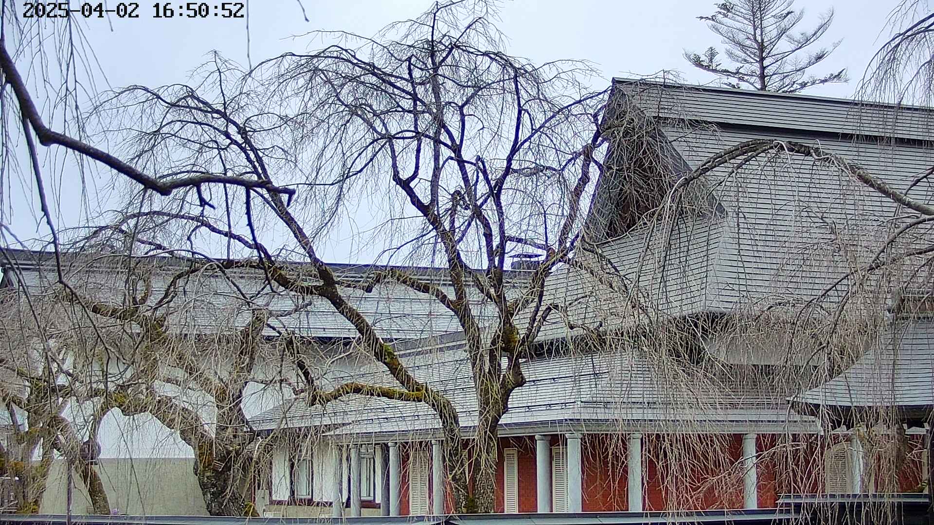area2-20250402165053.jpg