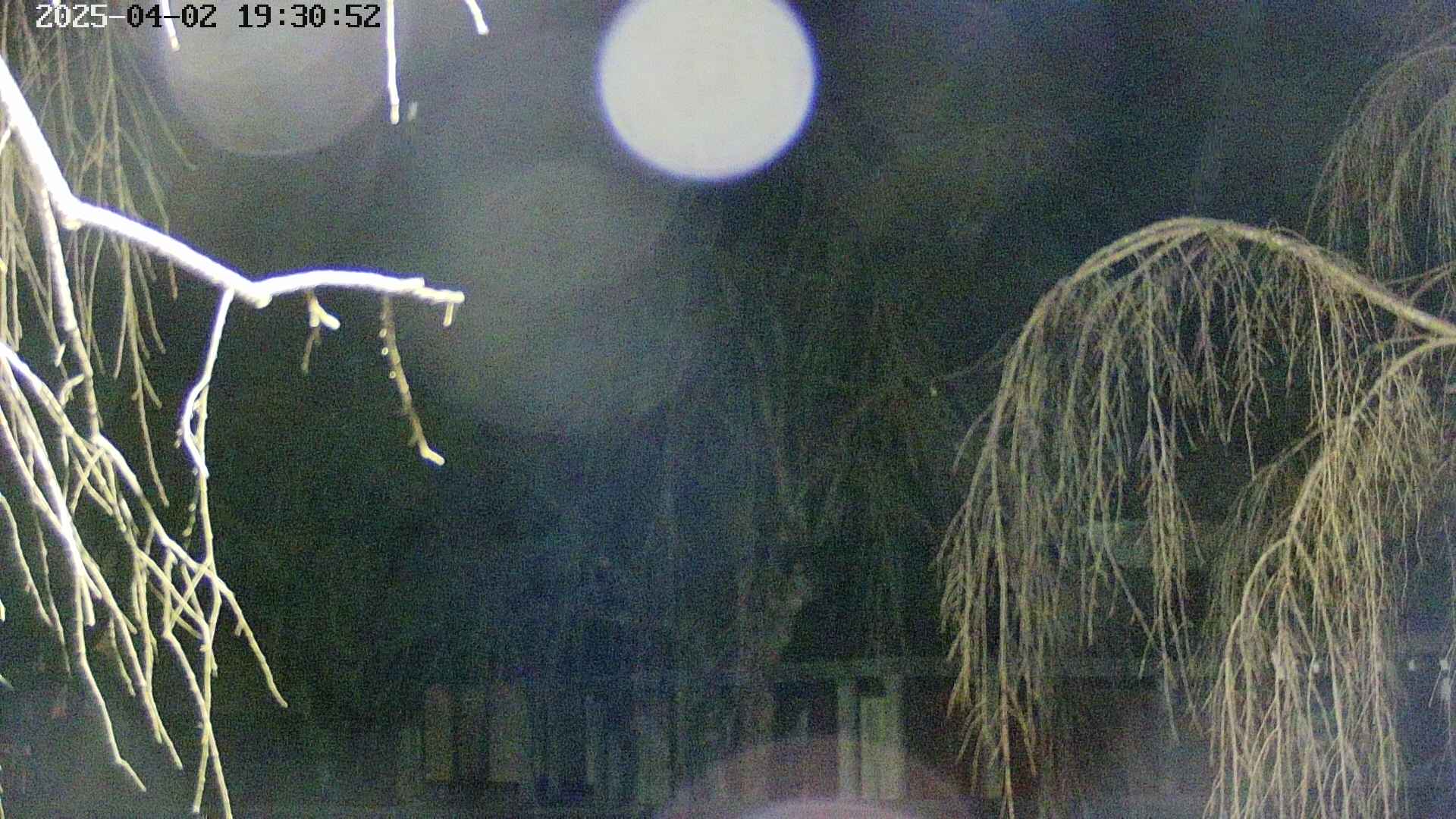 area2-20250402193054.jpg