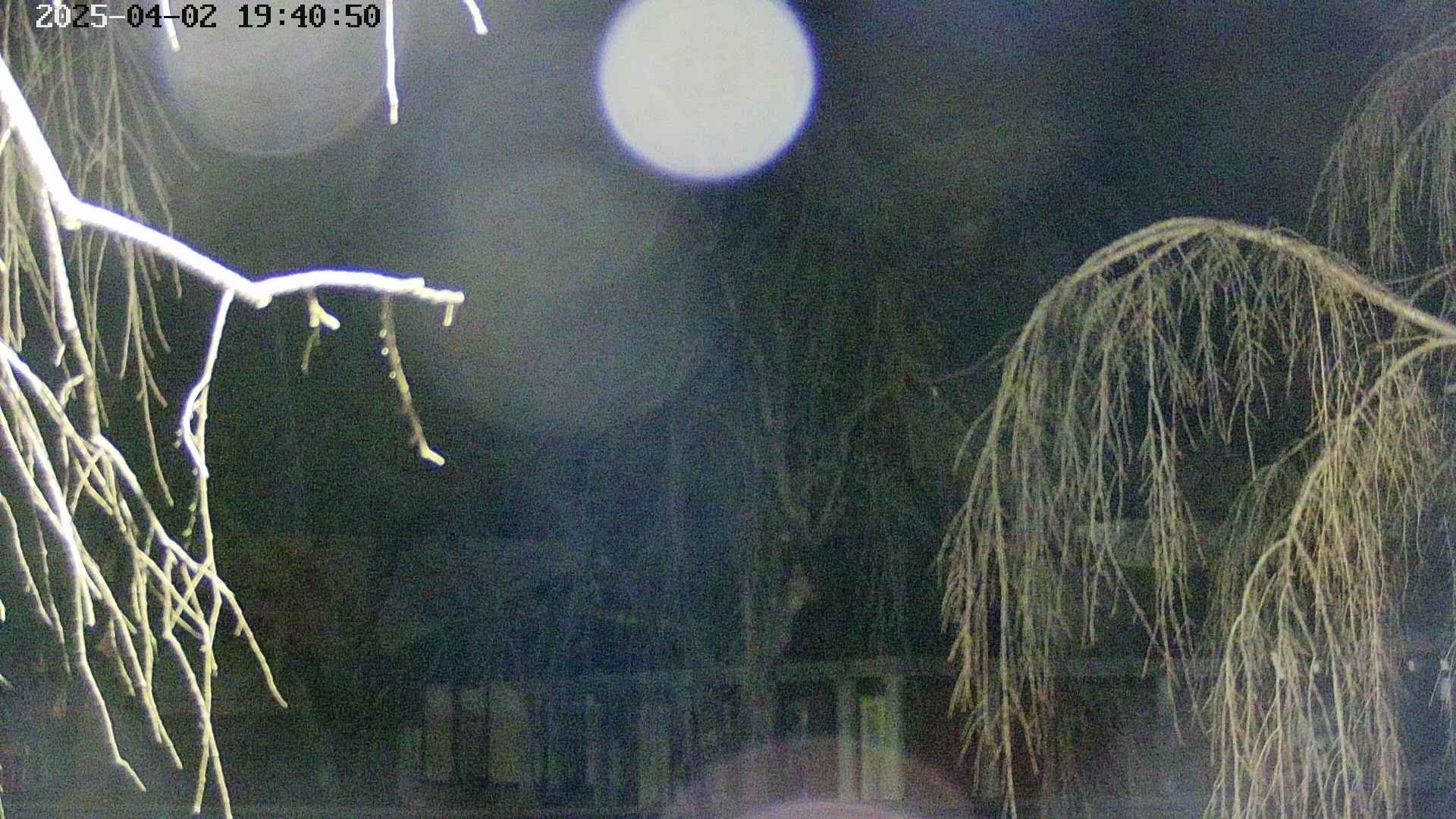 area2-20250402194052.jpg