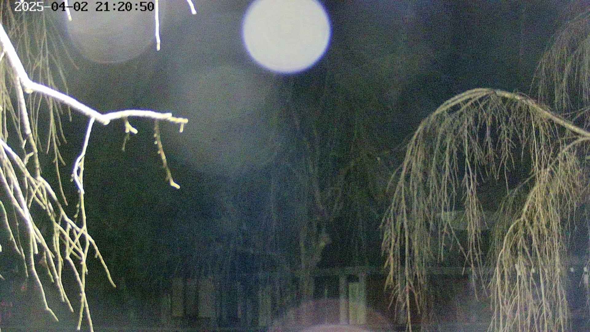 area2-20250402212052.jpg