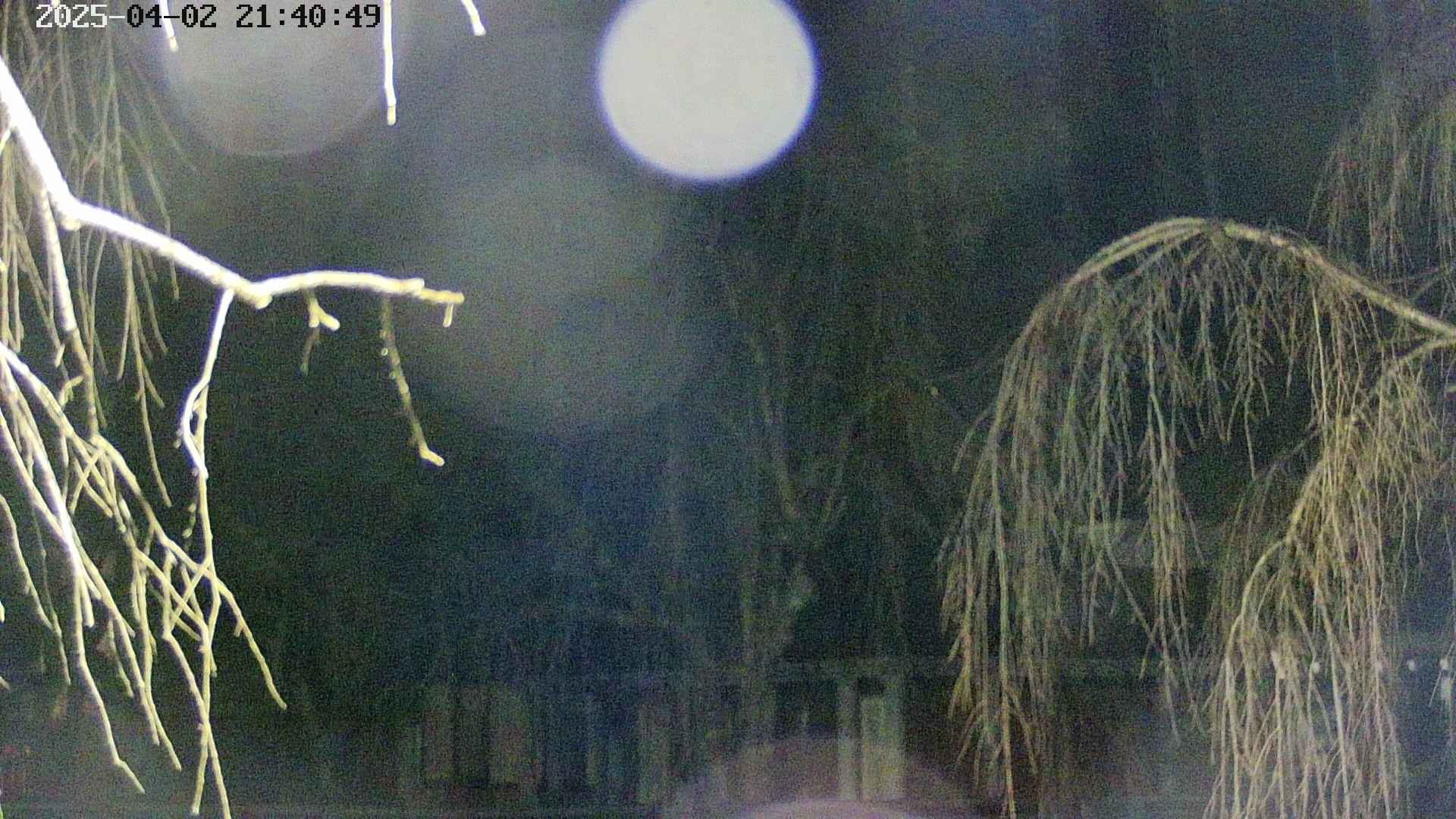 area2-20250402214052.jpg