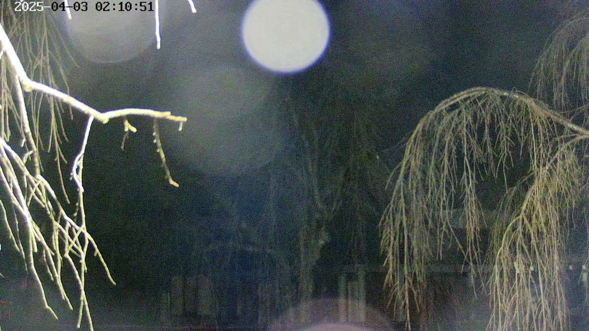 area2-20250403021054.jpg