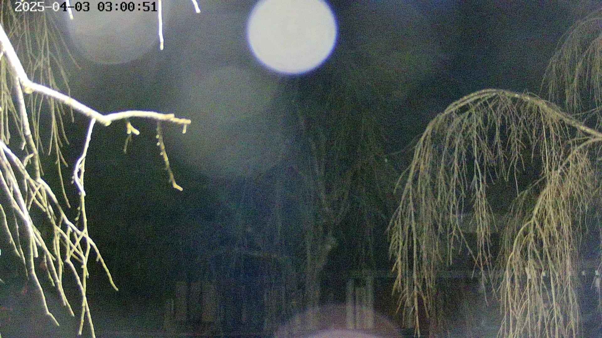 area2-20250403030055.jpg