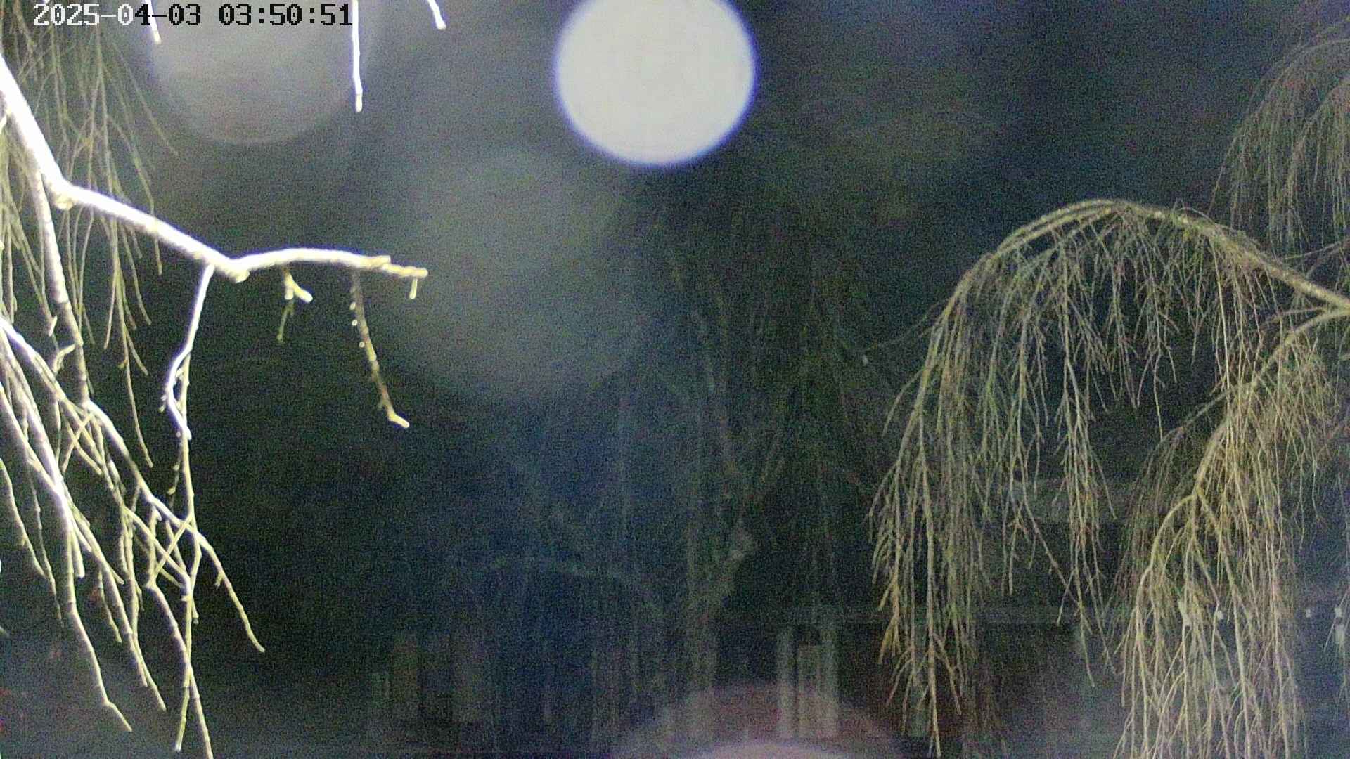 area2-20250403035055.jpg