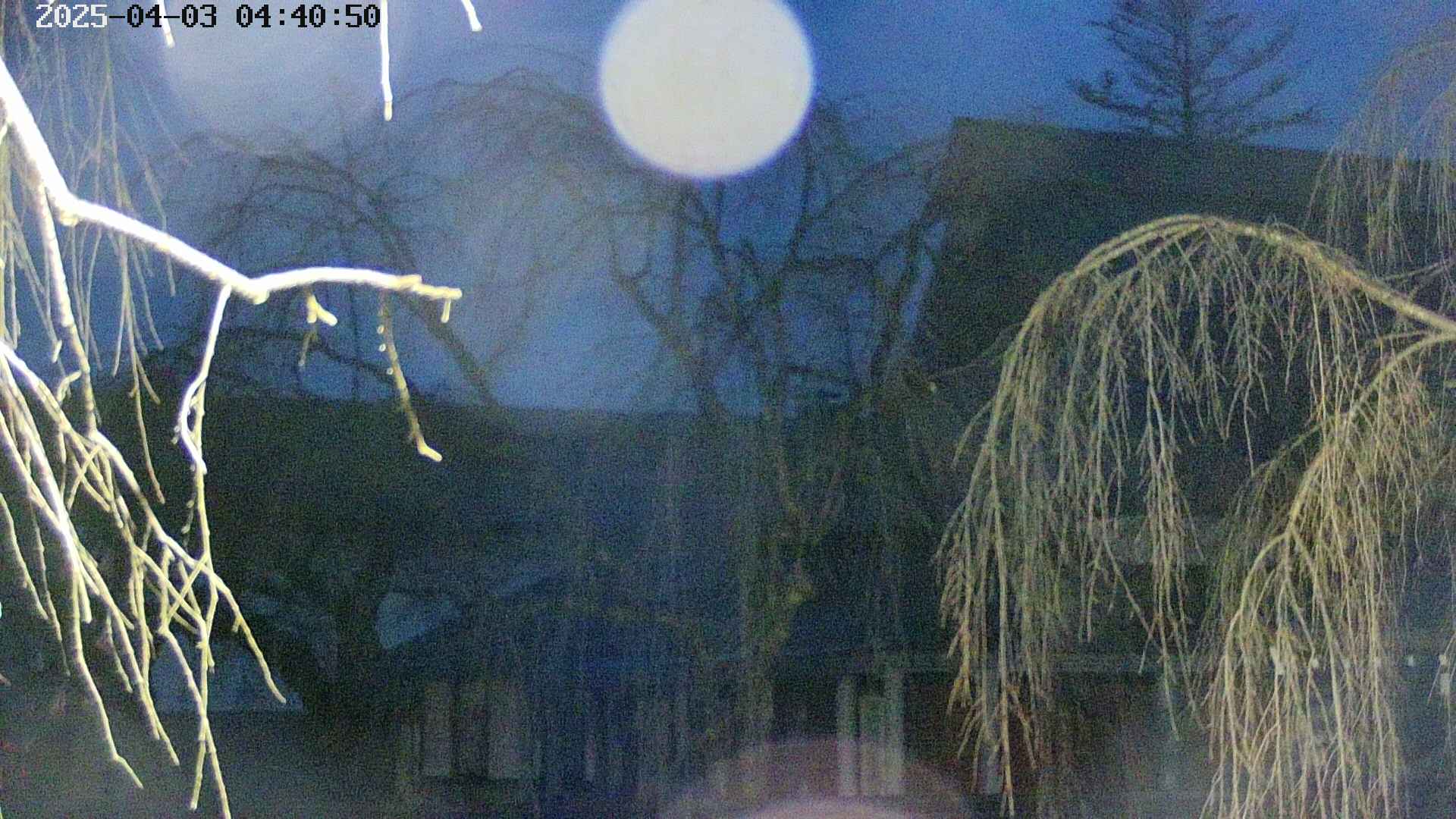 area2-20250403044053.jpg