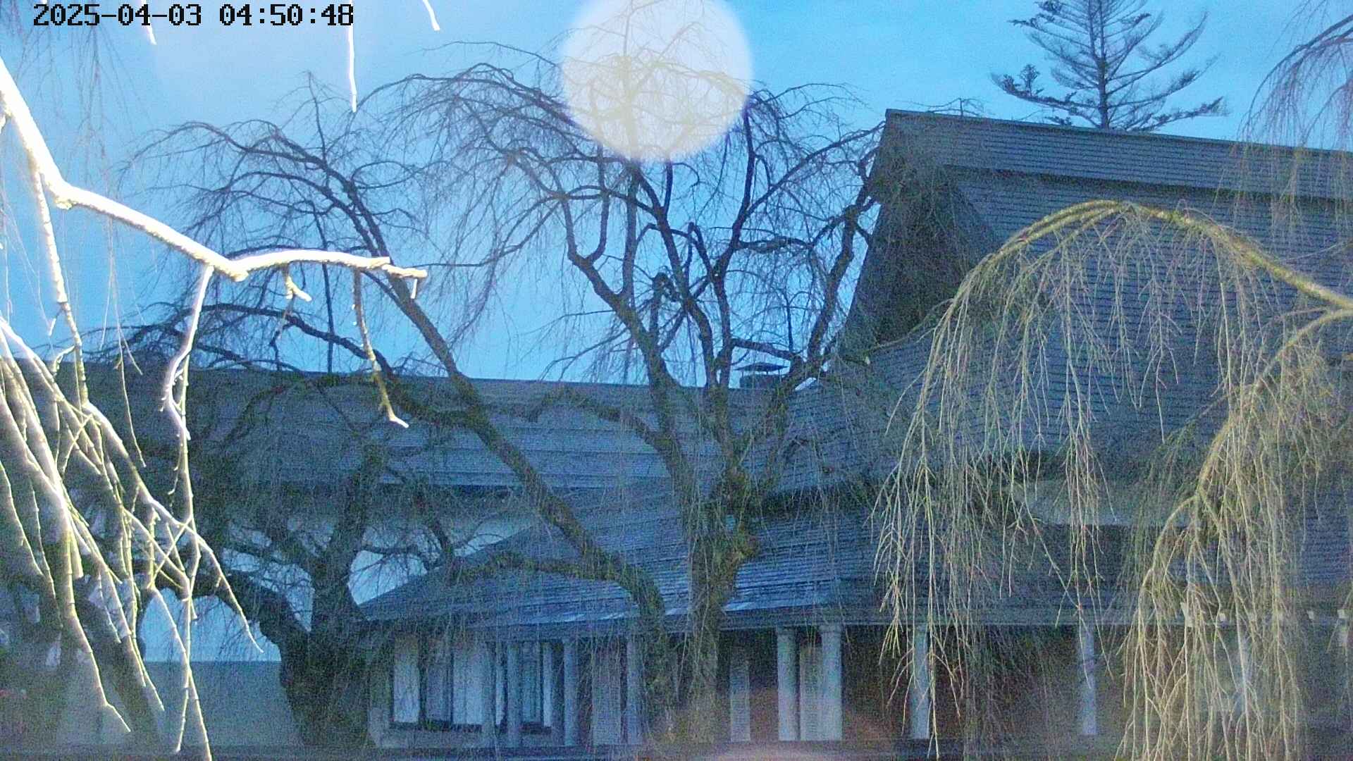 area2-20250403045051.jpg