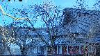area2-20250403050054.jpg