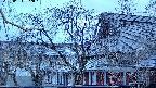 area2-20250403052053.jpg