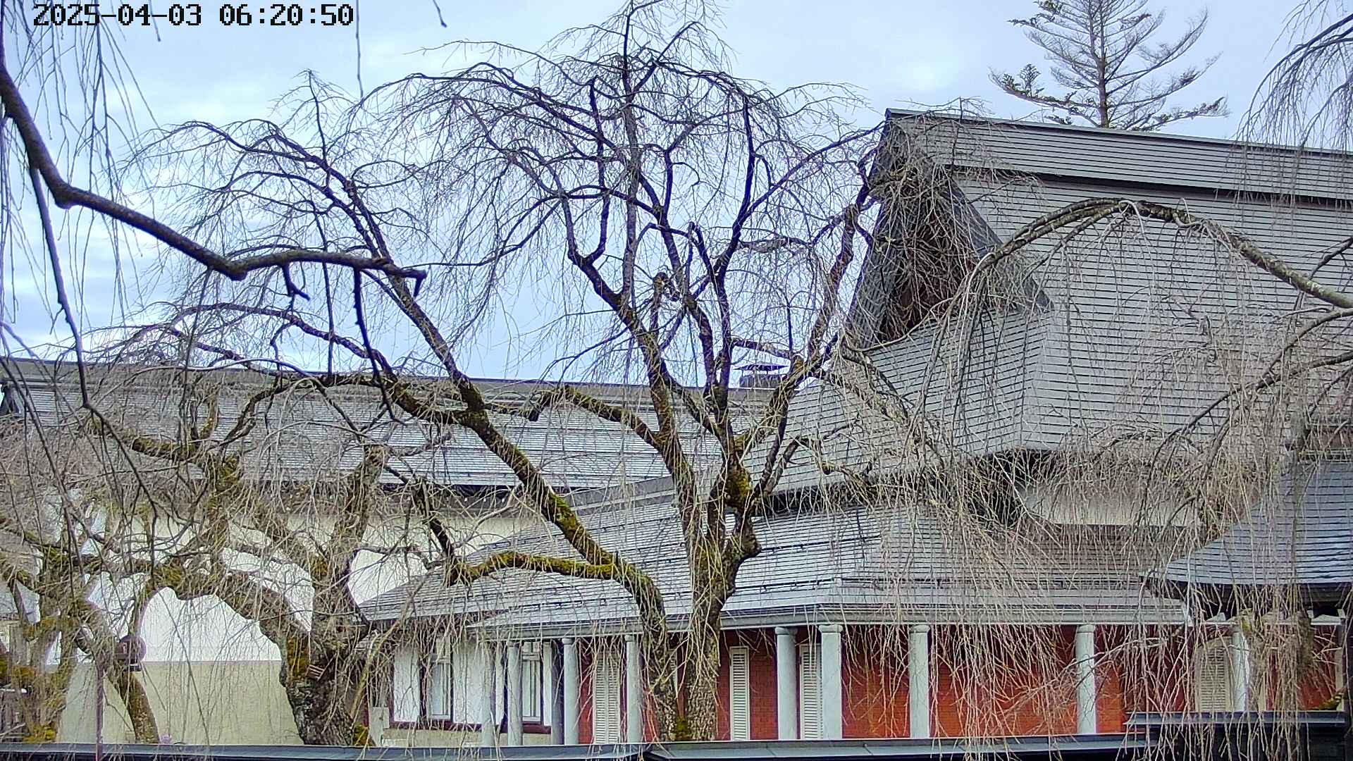 area2-20250403062053.jpg