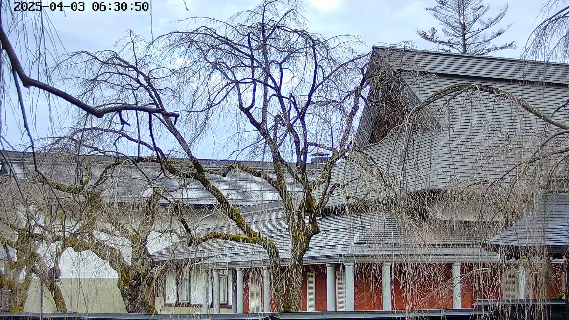 area2-20250403063054.jpg