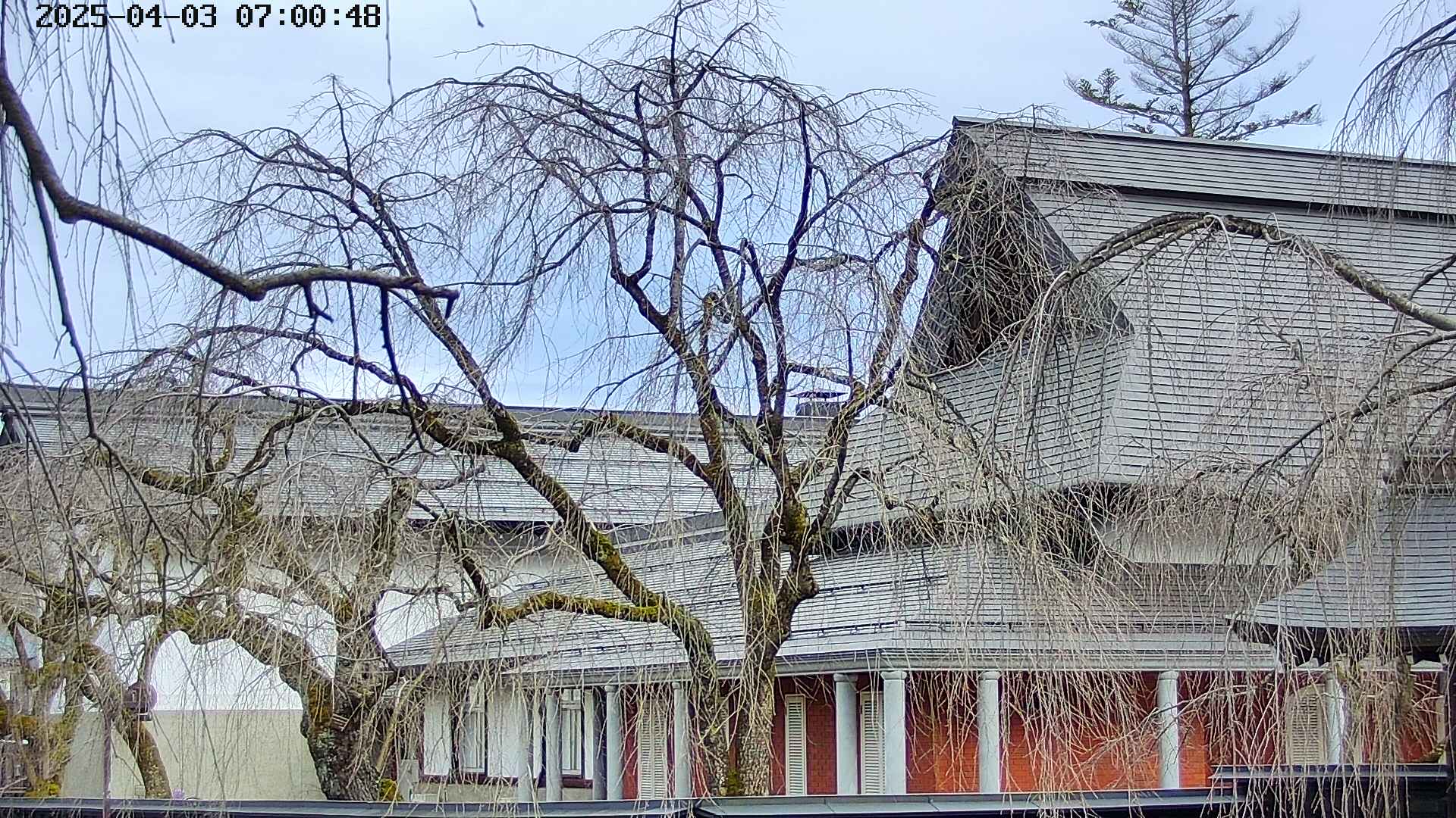 area2-20250403070052.jpg