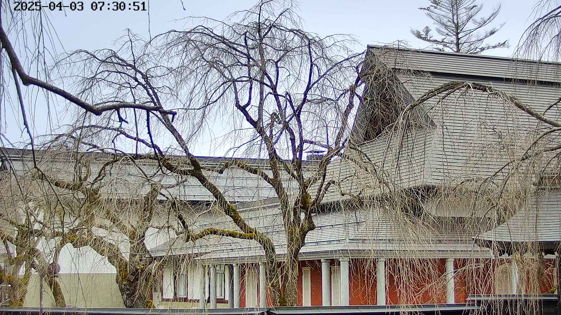 area2-20250403073055.jpg