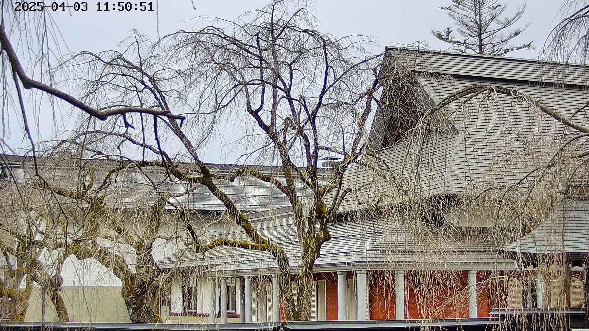 area2-20250403115052.jpg