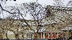 area2-20250403120056.jpg