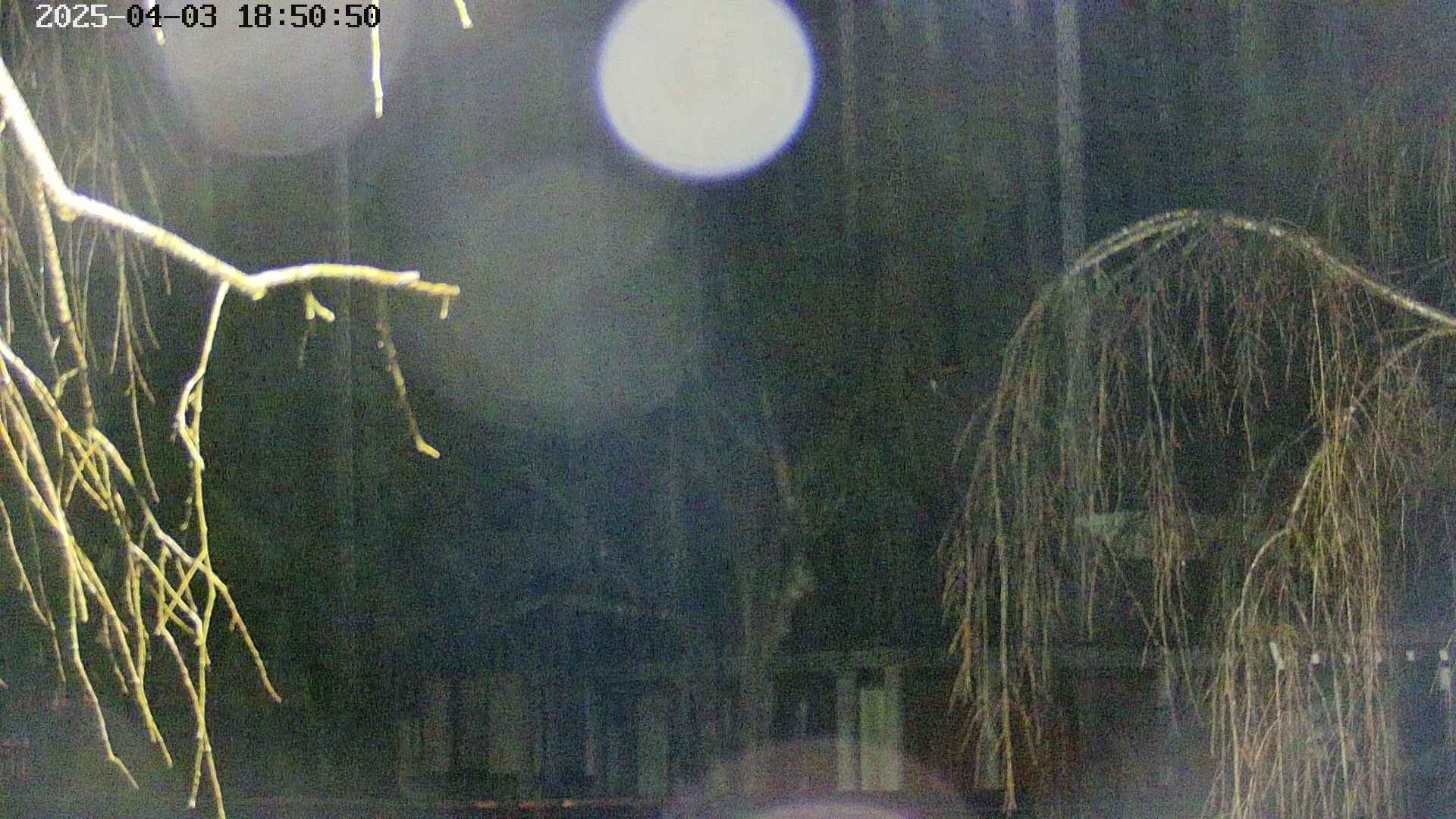 area2-20250403185052.jpg