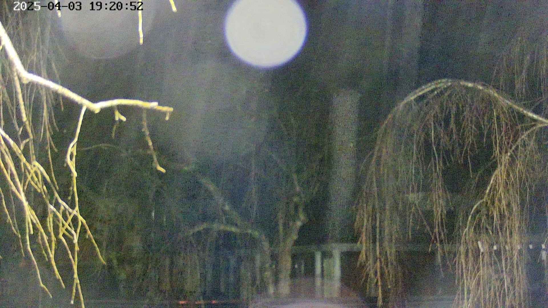 area2-20250403192054.jpg
