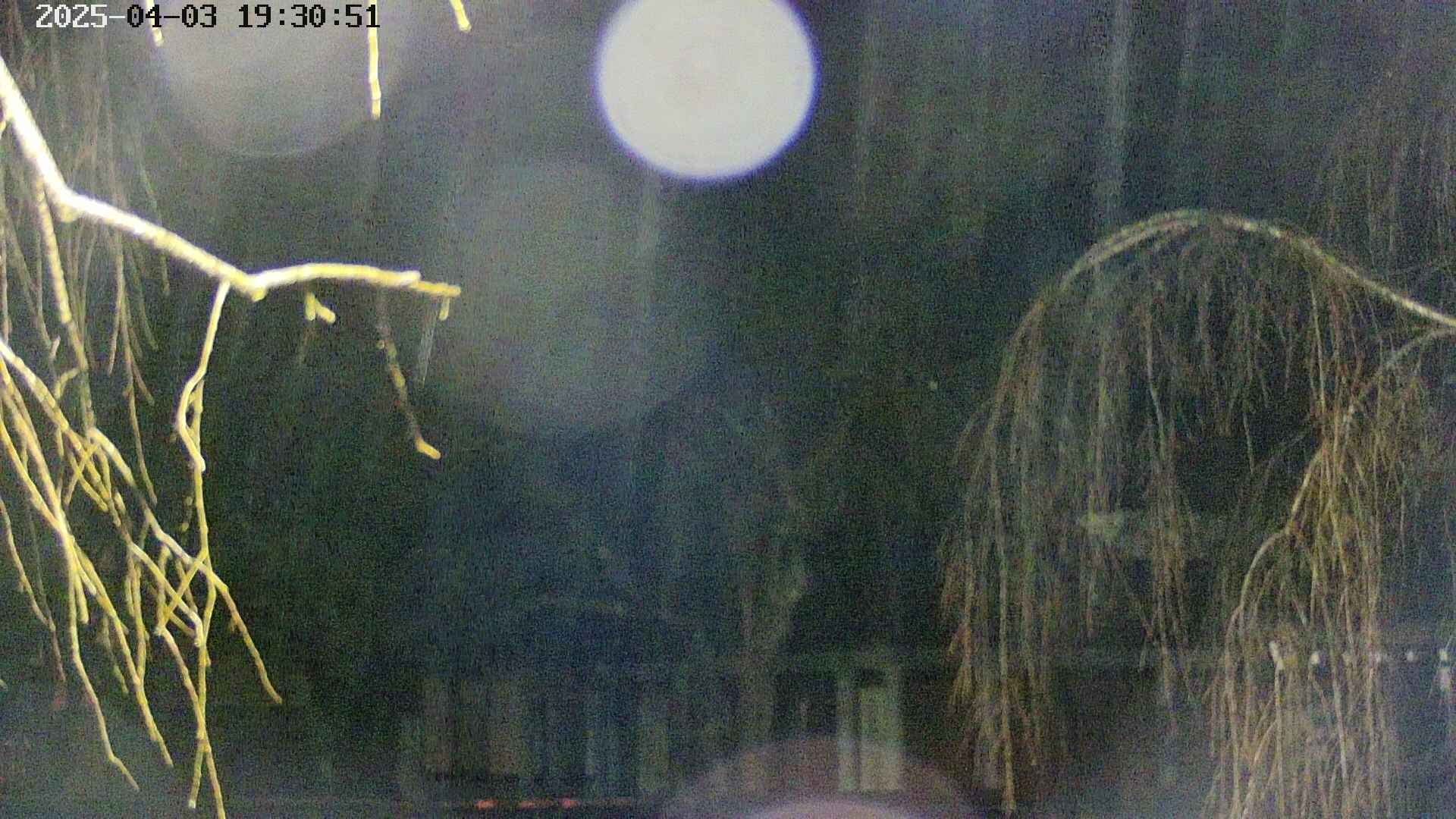area2-20250403193053.jpg