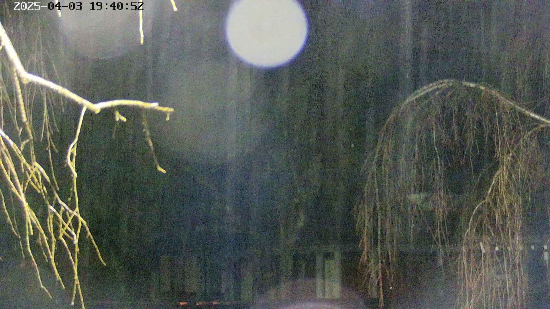 area2-20250403194054.jpg