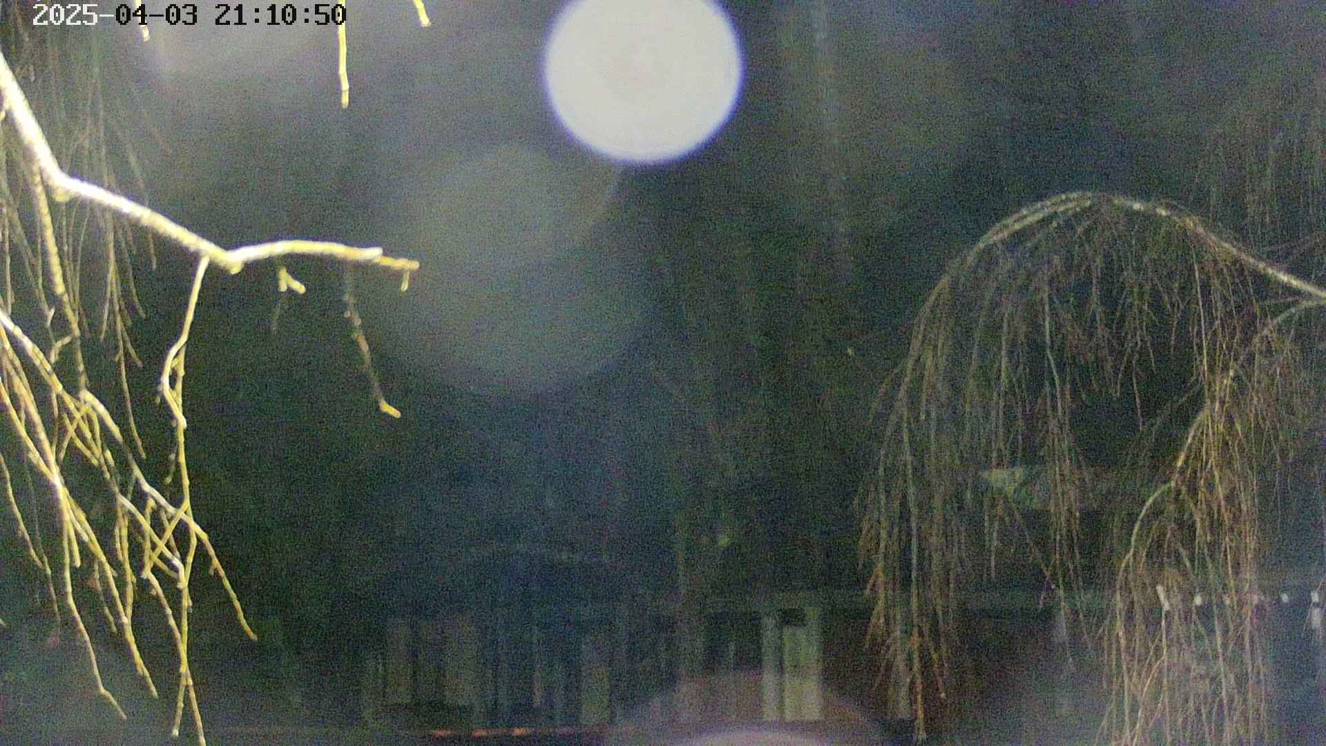 area2-20250403211053.jpg
