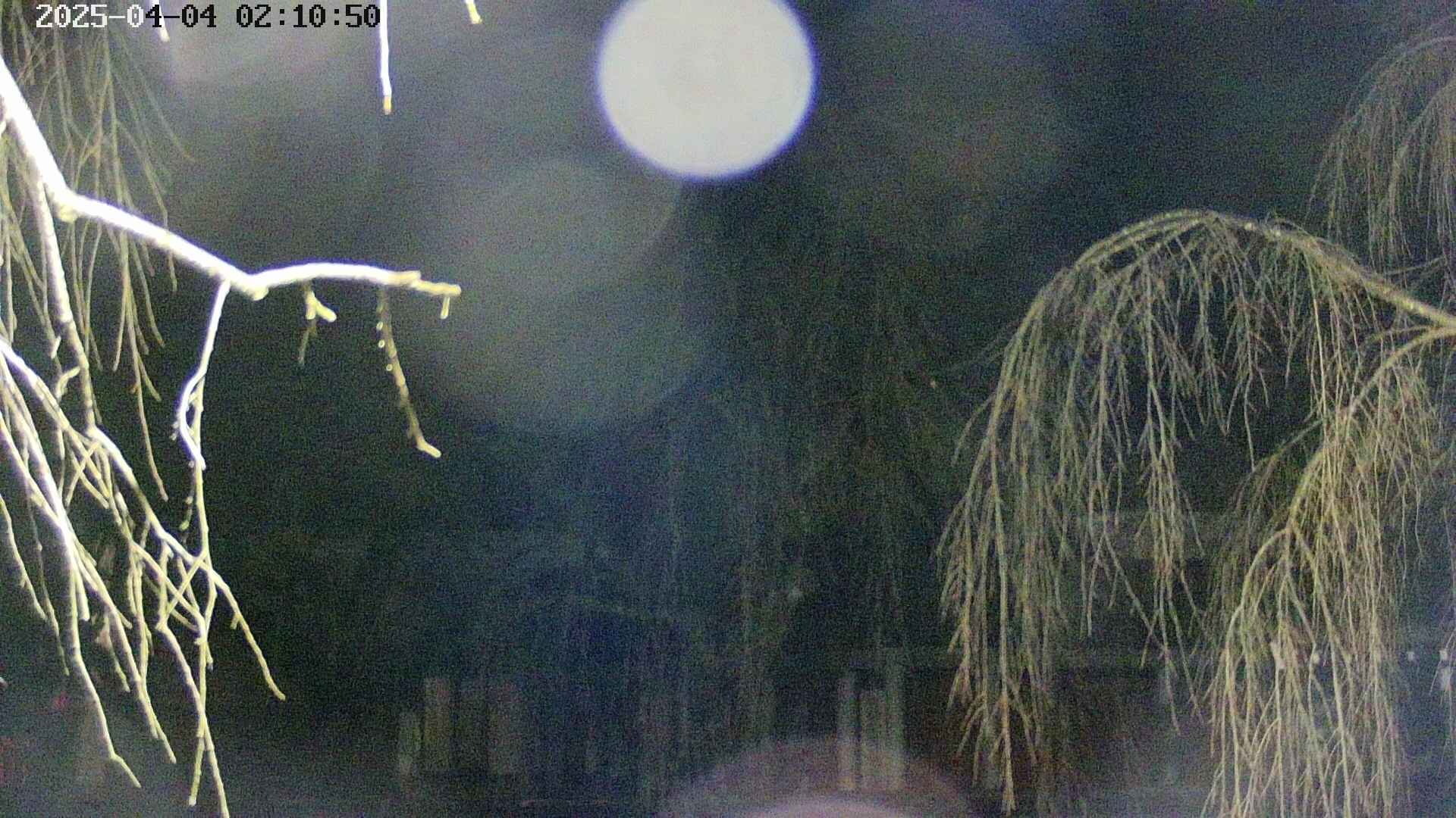 area2-20250404021054.jpg